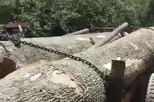Đắk Lắk: Nhóm lâm tặc dùng dao đe dọa để cướp xe, gỗ tang vật