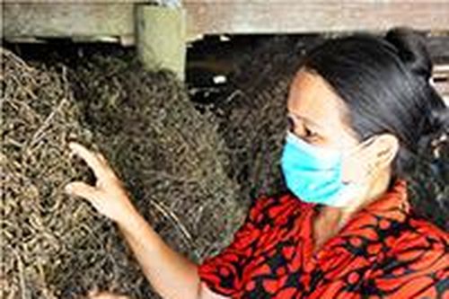 Hội Hoan: Người dân tăng thu từ trồng thạch đenTin khácTruyền nhiệt huyết giữ gìn di sản then cho thế hệ trẻPhát huy vai trò công tác tuyên giáo, tạo đồng thuận xã hội