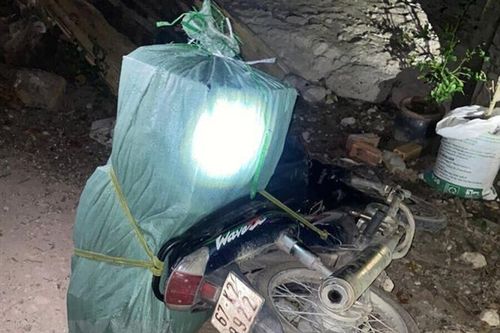 An Giang: Ngụy trang là người chở rau để vận chuyển thuốc lá lậu
