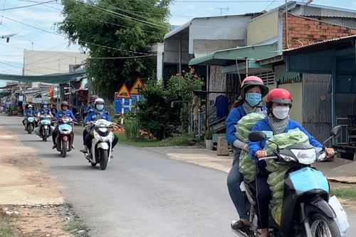 Những cô gái áo xanh tình nguyện 'tải lương thực' đến người dân mùa dịch