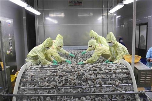 Cà Mau có gần 50 doanh nghiệp thực hiện '3 tại chỗ' và '1 cung đường, 2 điểm đến'