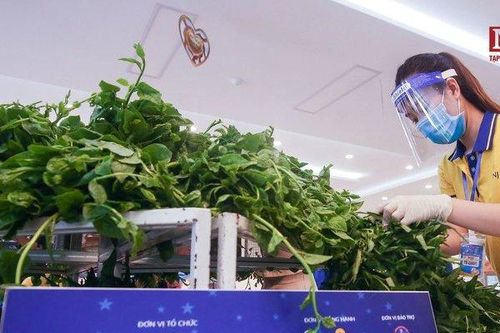 'Siêu thị mini 0 đồng' thứ 3 tại Hà Nội đi vào hoạt động
