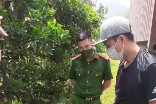Xử phạt lái xe container dương tính ma túy 'thông' chốt kiểm dịch