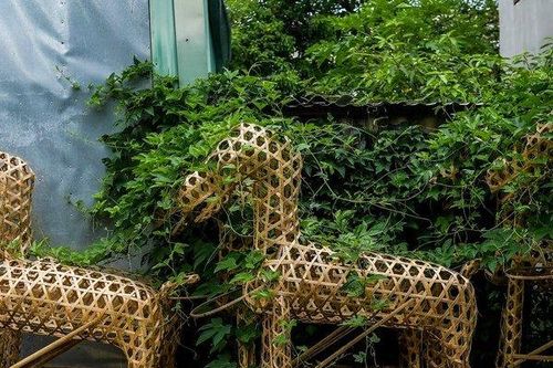'Thủ phủ' vàng mã Hà Nội im ắng đìu hiu