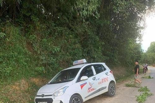 Bắt đối tượng nghi sát hại tài xế taxi Lạc Hồng