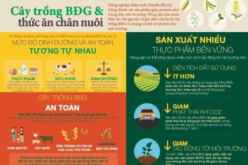 EC tiếp tục cấp phép cho cây trồng biến đổi gen sử dụng làm thực phẩm và thức ăn chăn nuôi