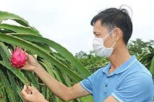 Cán bộ xã làm kinh tế giỏiTin khácCách mạng Tháng Tám thành công - đánh dấu thắng lợi đầu tiên cho con đường Hồ Chí Minh lựa chọnKết nối các nguồn lực chuẩn bị cơ sở vật chất cho năm học mới