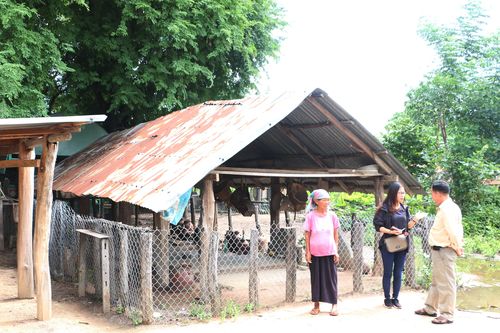 Gia Lai: Hơn 400 mô hình phát triển kinh tế trong đồng bào dân tộc thiểu số