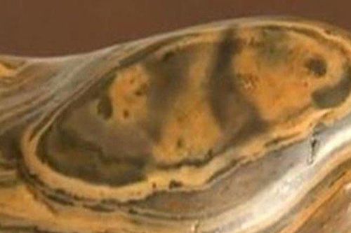 Nhặt được đá lạ, người đàn ông sốc khi chuyên gia định giá 500 tỷ VNĐ
