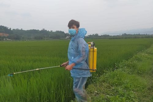 Để hoạt động nông nghiệp không tác động tới hệ sinh thái, đa dạng sinh học