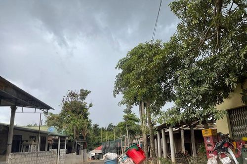 Bảo vệ thiết bị điện gió, nhiều công an Quảng Trị bị đánh: Xác định kẻ cầm đầu