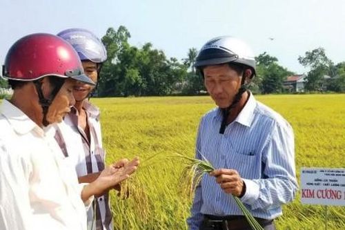Kinh tế Nông nghiệp - Nông thôn Nắm bắt xu thế, hướng đến nền nông nghiệp 'thông minh'