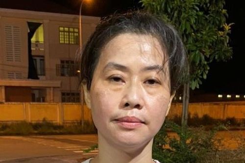 Bắt nữ giám đốc công ty khoáng sản lừa đảo hơn 234,2 tỷ đồng