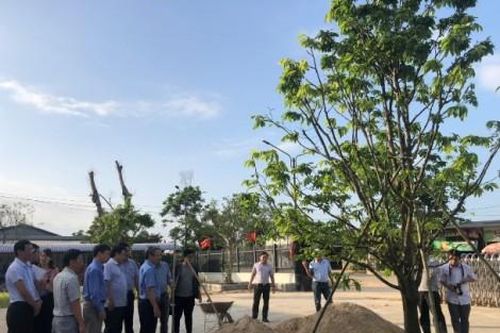 Kinh tế Nông nghiệp - Nông thôn Xây dựng, quản lý và phát triển chỉ dẫn địa lý 'Huế' cho sản phẩm Hoàng mai