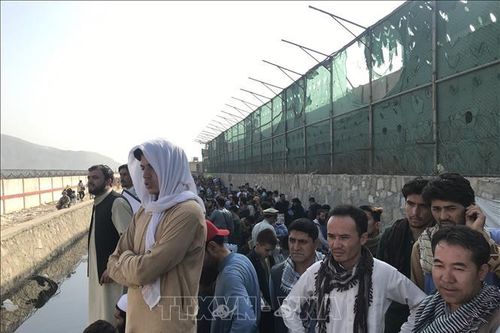 LHQ không ghi nhận tình trạng di cư ồ ạt từ Afghanistan qua biên giới Pakistan và Iran