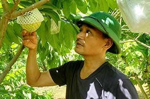 Hiệu quả ghép cải tạo na dai ta thành na Thái Lan ở Yên SơnTin khácNgành giáo dục tận dụng thời gian 'vàng' để dạy họcĐảm bảo chất lượng thuốc, đáp ứng nhu cầu chăm sóc sức khỏe Nhân dân