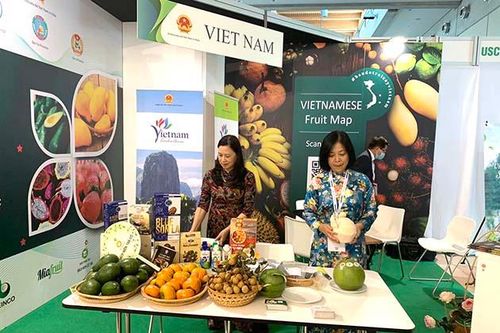 Sơn La có nông sản tham gia Hội chợ trái cây Macfrut 2021 tại Italia