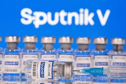 Vaccine Sputnik V do Việt Nam gia công đạt tiêu chuẩn chất lượng