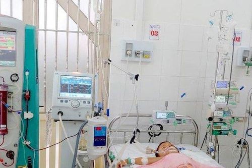 Thừa Thiên- Huế: Cứu sống bé trai 5 tuổi bị ong đốt hơn 50 vết