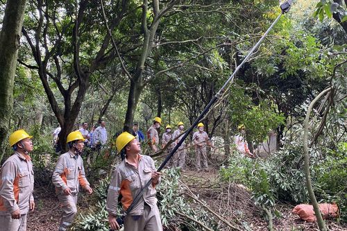 PC Ninh Bình: Đảm bảo an toàn hệ thống lưới điện trong mùa mưa bão