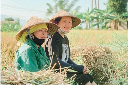 Bỏ phố về quê, cô gái mang khát vọng đưa gạo đặc sản quê hương 'bay xa'