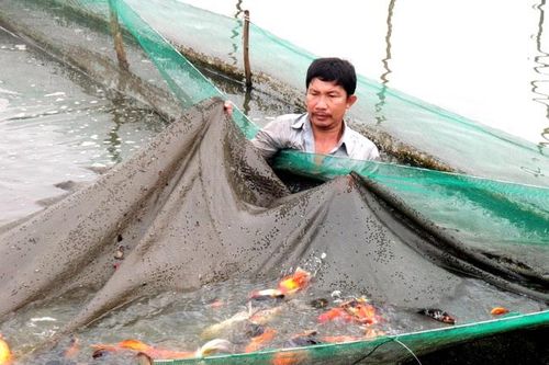 Đồng bộ hệ thống thủy lợi tại các xã nông thôn mới