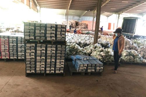 Tăng thêm combo nông sản đến tay người dân TP.HCM