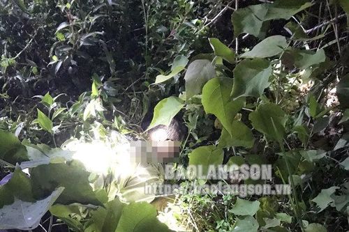 Phát hiện thi thể một người đàn ông trên đôìTin khácQuyết liệt ngăn hàng lậu thời điểm cuối nămNgành giáo dục tận dụng thời gian 'vàng' để dạy học