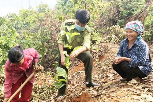 Xây dựng thành phố thêm sáng, xanh, sạch, đẹp