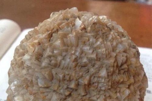 Nhặt được 3 'quả bóng gai', chàng trai sụp đổ nghe chuyên gia bóc mẽ