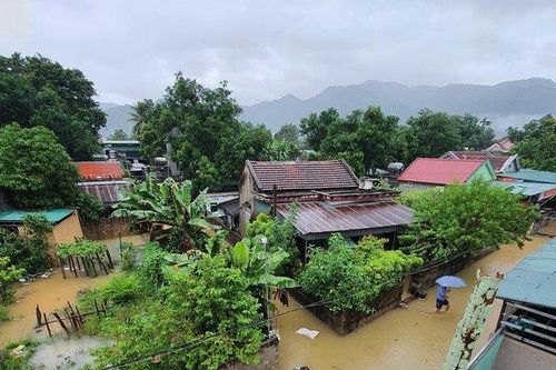 Nghệ An: Mưa to gây ngập lụt nhiều nơi, hoa màu bị hư hỏng