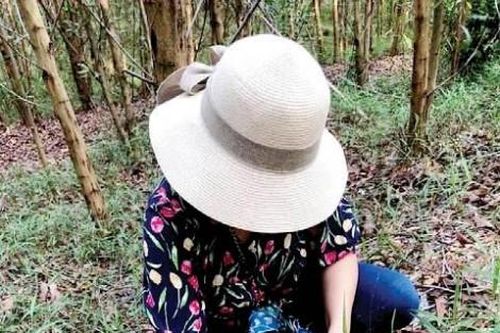 Đời sống Mùa nấm tràm