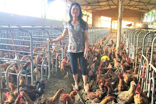 Nông dân Chư Păh thi đua sản xuất kinh doanh giỏi