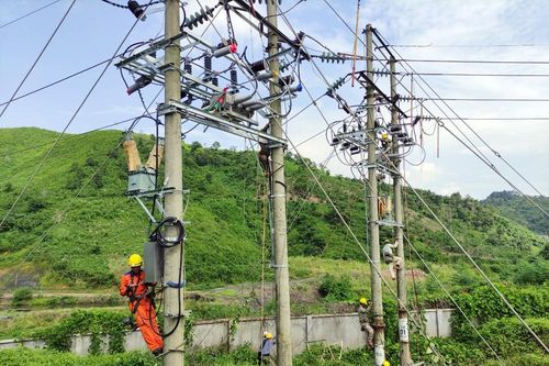 PC Lào Cai: Khởi công đồng loạt các dự án lắp đặt thiết bị đóng cắt LBS