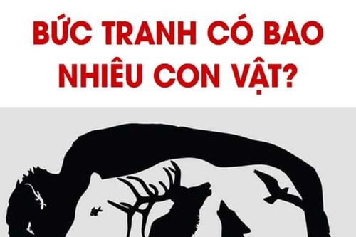 Câu đố đơn giản nhưng cho ra nhiều đáp án: Bạn nhìn thấy bao nhiêu con vật?