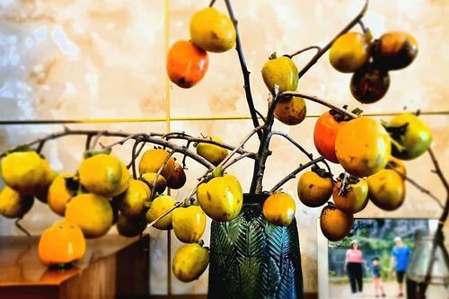 Độc lạ thú chơi bình lúa tươi, cành hồng giòn, táo mèo, cà phê của chị em Hà thành