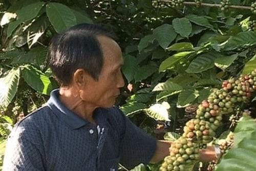 Câu chuyện xúc động vể một cuộc đời được làm lại