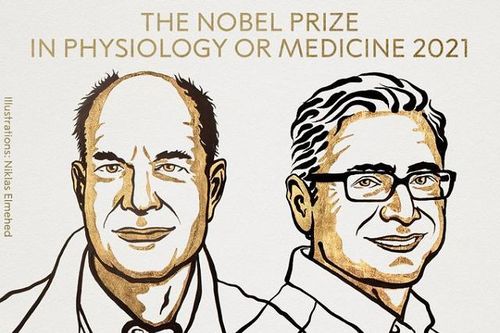 Giải Nobel Y học thuộc về 2 nhà khoa học tại Mỹ