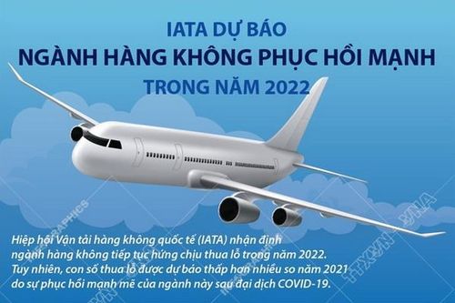 IATA dự báo ngành hàng không phục hồi mạnh năm 2022