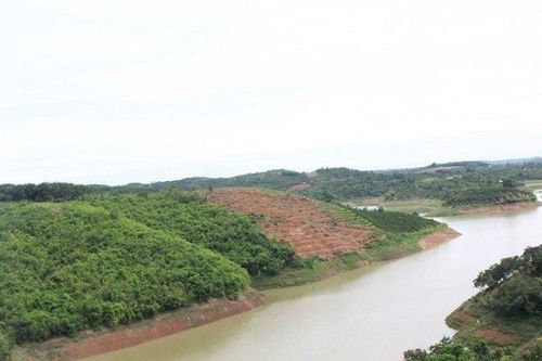 Truy tố 6 người dân và 4 cán bộ gây thiệt hại hàng tỷ đồng