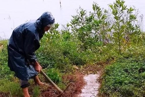 Kinh tế Xây dựng - Giao thông Mưa lớn gây sạt lở nhiều tuyến đường