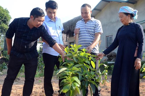 Phát huy tính tiền phong của đảng viên người dân tộc thiểu số