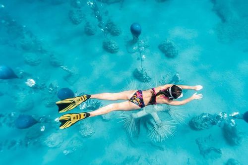 Độc đáo triển lãm nghệ thuật dưới nước tại đảo Cyprus