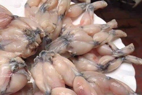 Đùi ếch, bưởi Việt Nam bị cảnh báo về an toàn thực phẩm