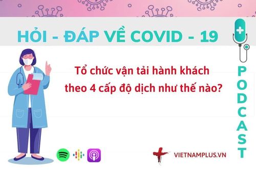 Hỏi đáp COVID-19: Hoạt động vận tải theo 4 cấp độ dịch tổ chức ra sao