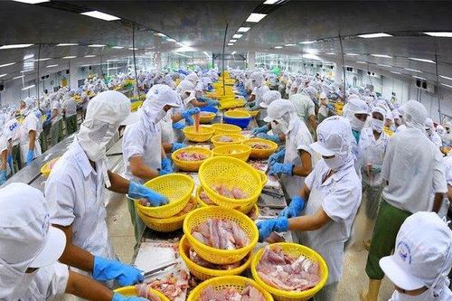 Dự thảo Nghị định Luật BVMT 2020: 'Chúng tôi đang vô cùng lo ngại'