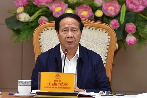 Phó Thủ tướng: Sớm có giải pháp hỗ trợ người chăn nuôi, bình ổn giá thịt lợn