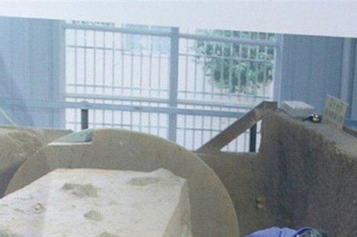 Đào ruộng lúa mì, bất ngờ phát hiện cả kho báu khổng lồ