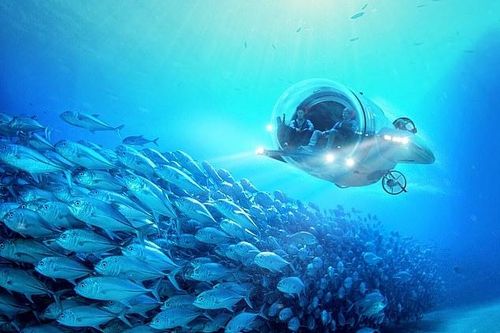 Hà Lan ra mắt 'siêu tàu lặn' chạy điện, tốc độ nhanh hơn cả cá heo