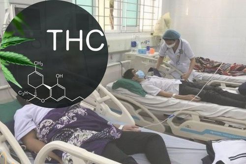 Chất kích thích thần kinh THC có trong cần sa nguy hiểm với trẻ em như thế nào?